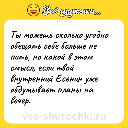 Шутка: Ты можешь сколько угодно обещать себе больше не пить, но какой в этом смысл, если твой внутренний Есенин уже обдумывает планы на вечер.