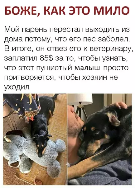 Смешная картинка №292054