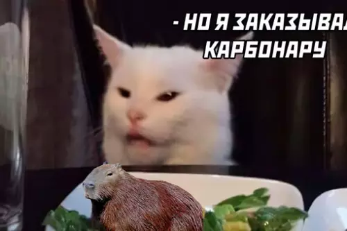 продолжение Смешная картинка №656309