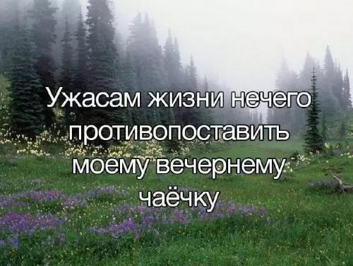 Смешная картинка №726587