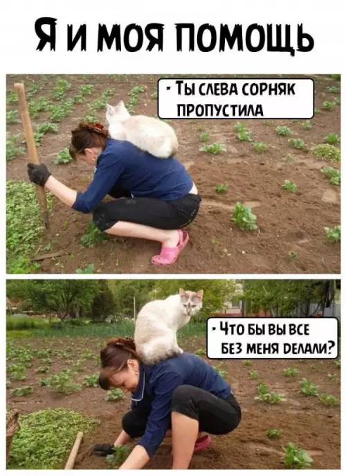 Смешная картинка №652220