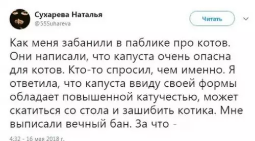 Смешная картинка №275605 Повышенная катучесть