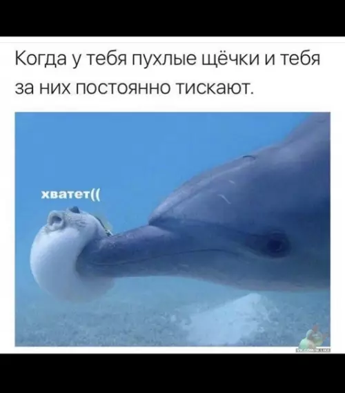 Смешная картинка №382098