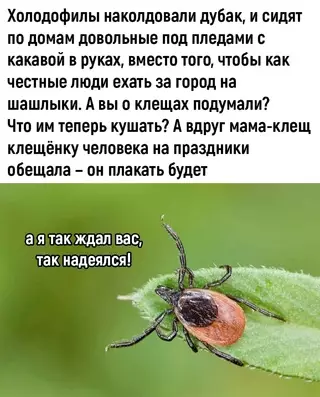 Смешная картинка №682327