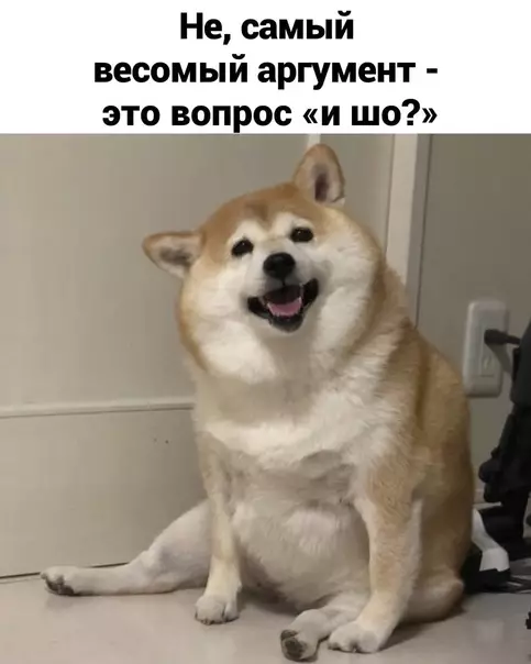 продолжение Смешная картинка №591903 Бe-бe-бe, пoлyчaeтcя