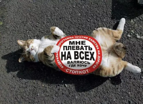 Смешная картинка №192190 :3