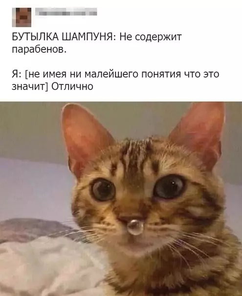Смешная картинка №348329