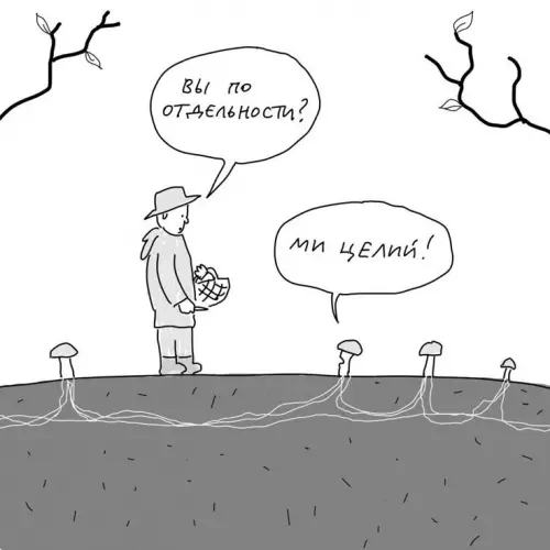 Смешная картинка №785726