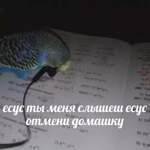 Смешная картинка №242131