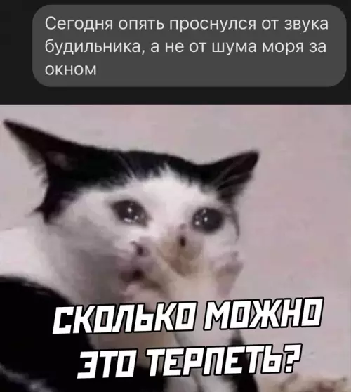 Смешная картинка №637978