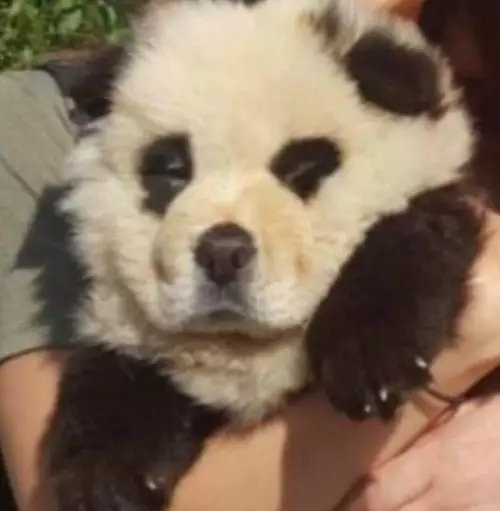 продолжение Смешная картинка №798825