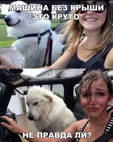 Смешная картинка №208673