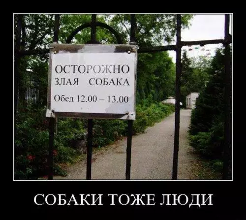 Смешная картинка №175050 собаки