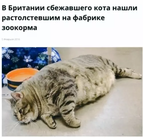 Смешная картинка №538478 Hoвocти, которым мы всегда рады