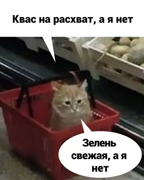 продолжение Смешная картинка №587625 А вот сейчас обидно очень стало...