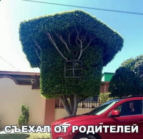 Смешная картинка №226365