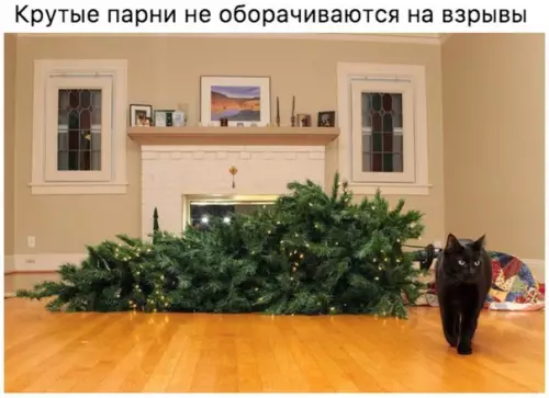 Смешная картинка №232251
