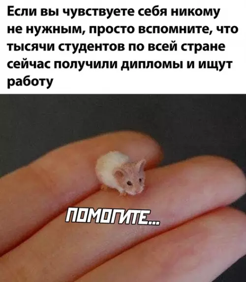 Смешная картинка №509337