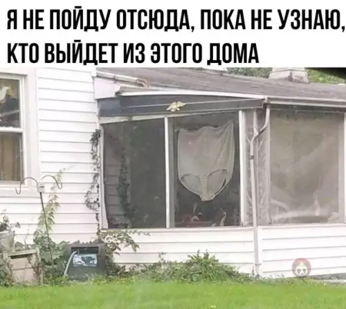 Смешная картинка №512134 А это вообще человек?