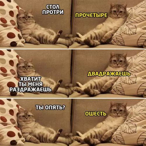 Смешная картинка №494352