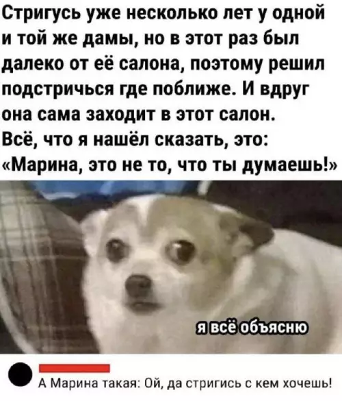 Смешная картинка №696924 Парикмахерская 