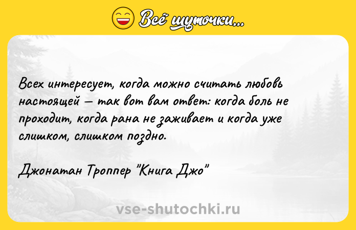 Цитата: Всех интересует, когда можно считать любовь настоящей так вот вам ответ: когда боль не проходит, когда рана не заживает и когда уже слишком, слишком поздно.Джонатан Троппер Книга Джо