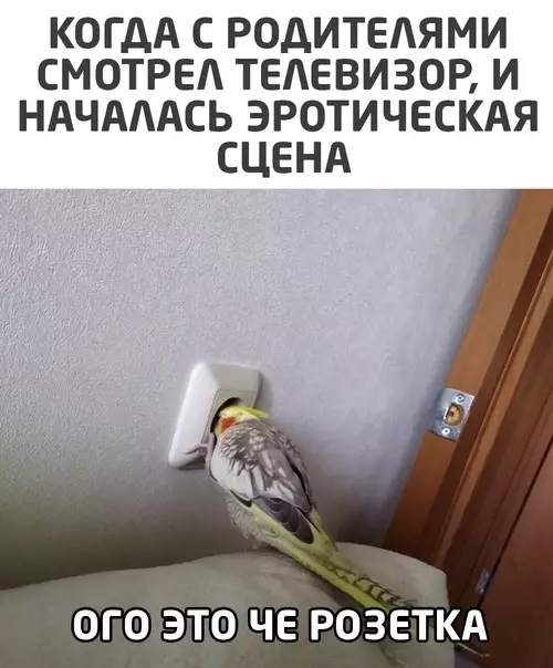 Смешная картинка №546661