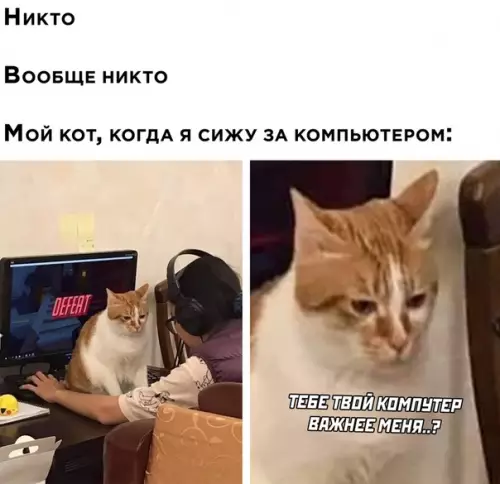 Смешная картинка №532317