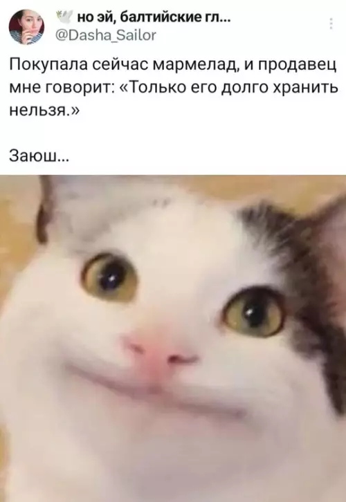 Смешная картинка №725287