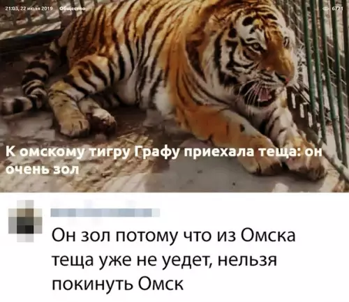 Смешная картинка №372448