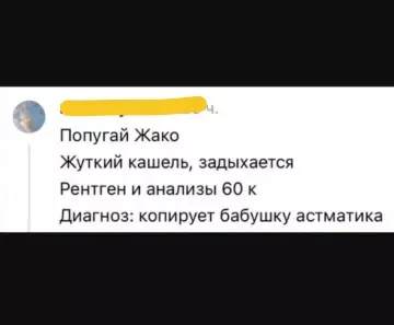 Попугай-гений или как не разориться на ветеринара 😂 - Попугай Жако Жуткий кашель, задыхается Рентген и анализы 60 к
