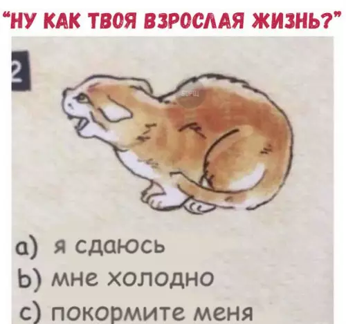 Смешная картинка №232341
