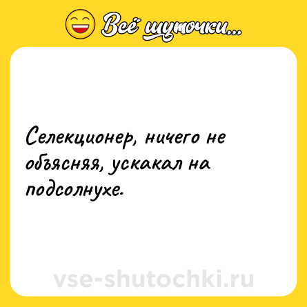 Шутка: Селекционер, ничего не объясняя, ускакал на подсолнухе.
