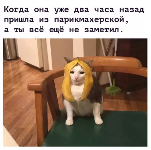 Смешная картинка №273915