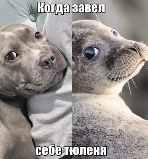 Смешная картинка №174394