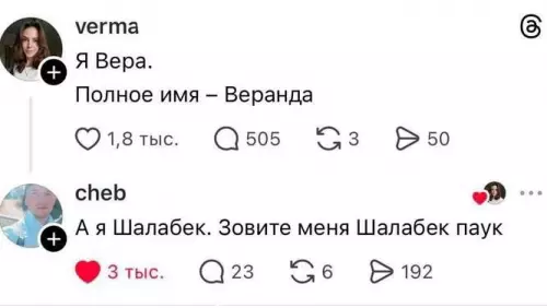 Когда имя — это мем 🕷️ - verma: Я Вера. Полное имя Веранда. cheb: А я Шалабек.