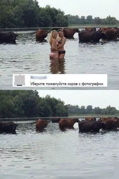 Смешная картинка №219763