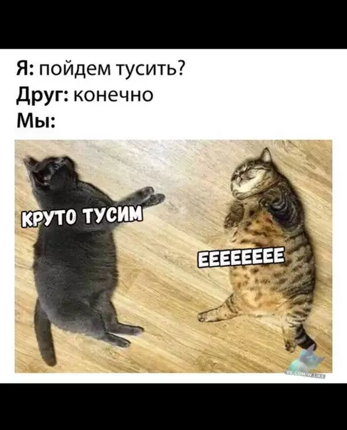 Смешная картинка №333400