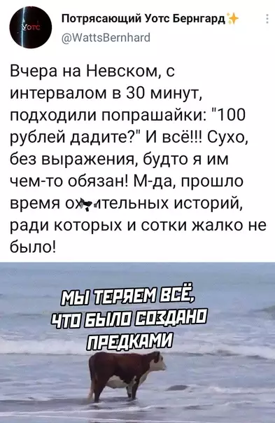 Смешная картинка №623226