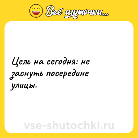 Шутка: Цель на сегодня: не заснуть посередине улицы.