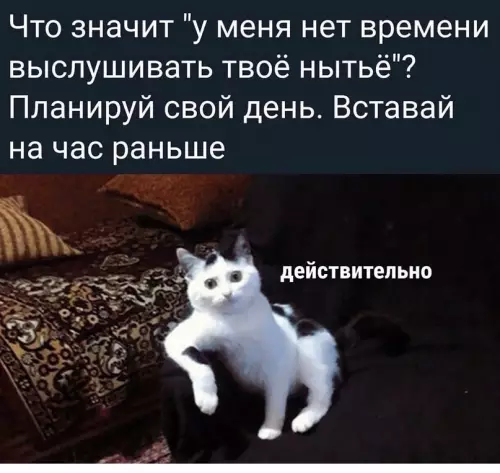 Смешная картинка №599518 Tы взpocлый oтвeтcтвeнный чeлoвeк в кoнцe кoнцoв