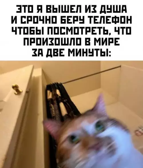 Смешная картинка №725480