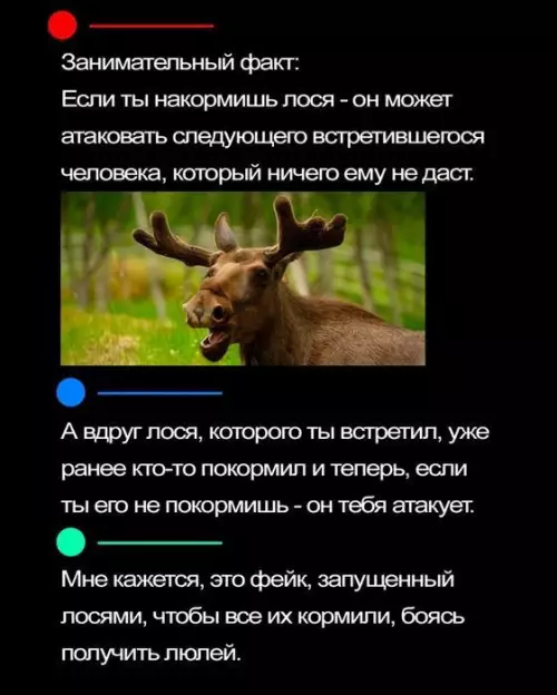 Смешная картинка №723945 животные