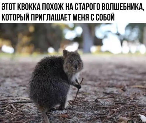 Смешная картинка №222837