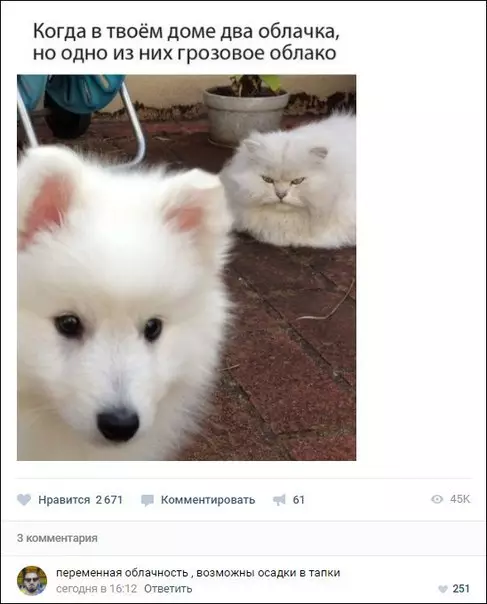 Смешная картинка №234113