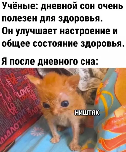 Смешная картинка №647048