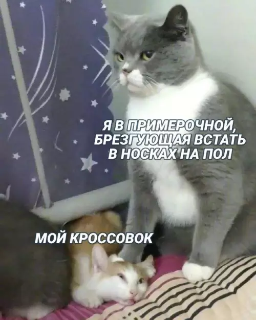 Смешная картинка №660986