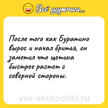 Шутка: После того как Буратино вырос и начал бритья, он заметил что щетина быстрее растет с северной стороны.