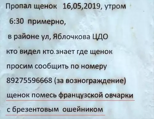Тот самый квест с поиском 🐶 - Пропал щенок 16,05,2019, утром 6:30 примерно, в районе ул, Яблочкова