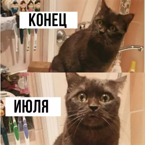 Смешная картинка №292395
